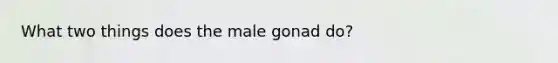 What two things does the male gonad do?