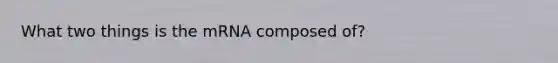 What two things is the mRNA composed of?