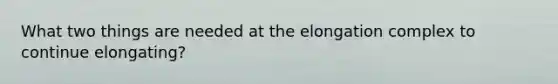 What two things are needed at the elongation complex to continue elongating?