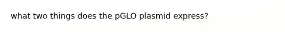 what two things does the pGLO plasmid express?