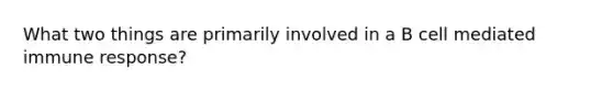 What two things are primarily involved in a B cell mediated immune response?