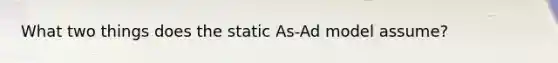 What two things does the static As-Ad model assume?