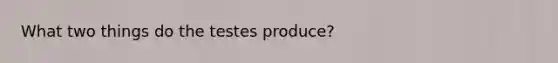 What two things do the testes produce?