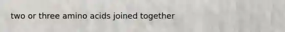 two or three amino acids joined together