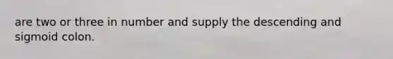 are two or three in number and supply the descending and sigmoid colon.