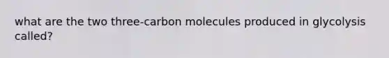 what are the two three-carbon molecules produced in glycolysis called?