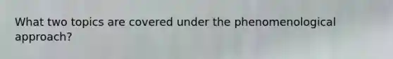 What two topics are covered under the phenomenological approach?