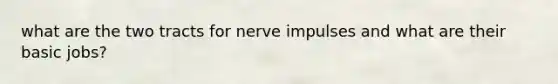 what are the two tracts for nerve impulses and what are their basic jobs?