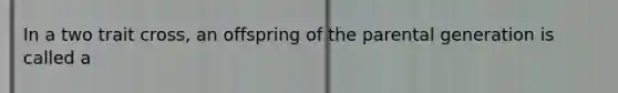 In a two trait cross, an offspring of the parental generation is called a