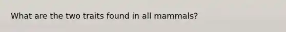 What are the two traits found in all mammals?