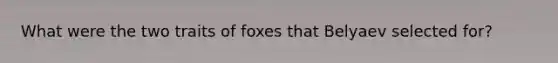 What were the two traits of foxes that Belyaev selected for?