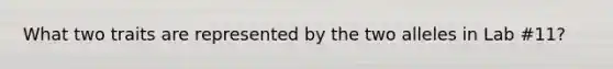 What two traits are represented by the two alleles in Lab #11?
