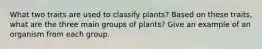 What two traits are used to classify plants? Based on these traits, what are the three main groups of plants? Give an example of an organism from each group.