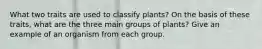 What two traits are used to classify plants? On the basis of these traits, what are the three main groups of plants? Give an example of an organism from each group.