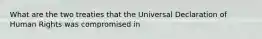 What are the two treaties that the Universal Declaration of Human Rights was compromised in