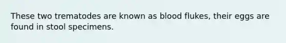 These two trematodes are known as blood flukes, their eggs are found in stool specimens.