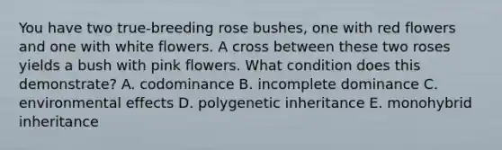 You have two true-breeding rose bushes, one with red flowers and one with white flowers. A cross between these two roses yields a bush with pink flowers. What condition does this demonstrate? A. codominance B. incomplete dominance C. environmental effects D. polygenetic inheritance E. monohybrid inheritance