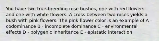 You have two true-breeding rose bushes, one with red flowers and one with white flowers. A cross between two roses yields a bush with pink flowers. The pink flower color is an example of A - codominance B - incomplete dominance C - environmental effects D - polygenic inheritance E - epistatic interaction