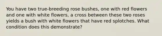 You have two true-breeding rose bushes, one with red flowers and one with white flowers, a cross between these two roses yields a bush with white flowers that have red splotches. What condition does this demonstrate?