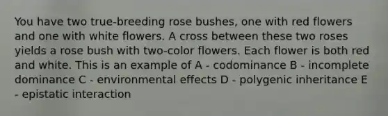 You have two true-breeding rose bushes, one with red flowers and one with white flowers. A cross between these two roses yields a rose bush with two-color flowers. Each flower is both red and white. This is an example of A - codominance B - incomplete dominance C - environmental effects D - polygenic inheritance E - epistatic interaction