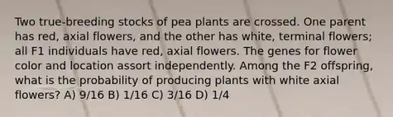 Two true-breeding stocks of pea plants are crossed. One parent has red, axial flowers, and the other has white, terminal flowers; all F1 individuals have red, axial flowers. The genes for flower color and location assort independently. Among the F2 offspring, what is the probability of producing plants with white axial flowers? A) 9/16 B) 1/16 C) 3/16 D) 1/4