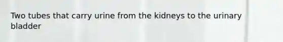 Two tubes that carry urine from the kidneys to the urinary bladder