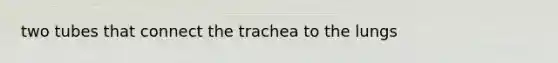 two tubes that connect the trachea to the lungs