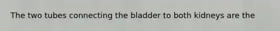 The two tubes connecting the bladder to both kidneys are the