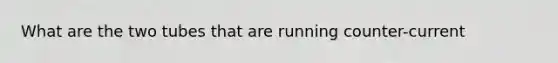 What are the two tubes that are running counter-current