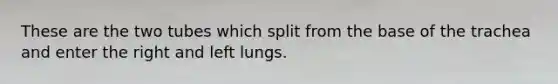 These are the two tubes which split from the base of the trachea and enter the right and left lungs.