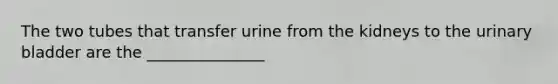 The two tubes that transfer urine from the kidneys to the <a href='https://www.questionai.com/knowledge/kb9SdfFdD9-urinary-bladder' class='anchor-knowledge'>urinary bladder</a> are the _______________