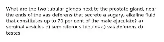 What are the two tubular glands next to the prostate gland, near the ends of the vas deferens that secrete a sugary, alkaline fluid that constitutes up to 70 per cent of the male ejaculate? a) seminal vesicles b) seminiferous tubules c) vas deferens d) testes