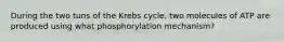 During the two tuns of the Krebs cycle, two molecules of ATP are produced using what phosphorylation mechanism?