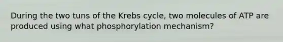 During the two tuns of the Krebs cycle, two molecules of ATP are produced using what phosphorylation mechanism?