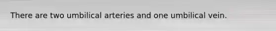 There are two umbilical arteries and one umbilical vein.