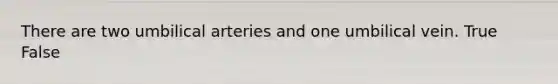 There are two umbilical arteries and one umbilical vein. True False
