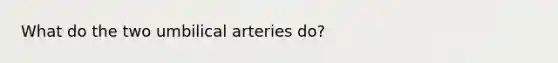 What do the two umbilical arteries do?