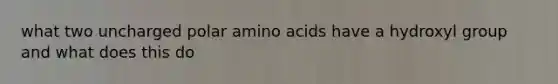 what two uncharged polar amino acids have a hydroxyl group and what does this do