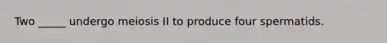 Two _____ undergo meiosis II to produce four spermatids.