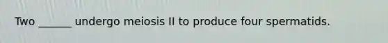 Two ______ undergo meiosis II to produce four spermatids.