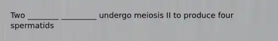 Two ________ _________ undergo meiosis II to produce four spermatids