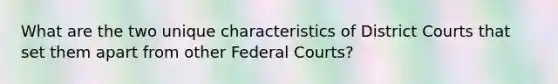 What are the two unique characteristics of District Courts that set them apart from other Federal Courts?