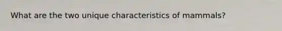 What are the two unique characteristics of mammals?