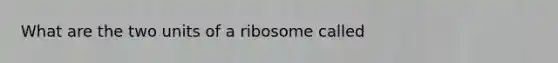 What are the two units of a ribosome called