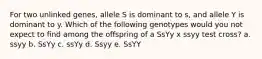 For two unlinked genes, allele S is dominant to s, and allele Y is dominant to y. Which of the following genotypes would you not expect to find among the offspring of a SsYy x ssyy test cross? a. ssyy b. SsYy c. ssYy d. Ssyy e. SsYY