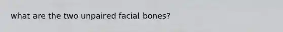 what are the two unpaired facial bones?