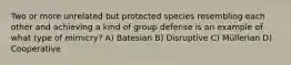 Two or more unrelated but protected species resembling each other and achieving a kind of group defense is an example of what type of mimicry? A) Batesian B) Disruptive C) Müllerian D) Cooperative