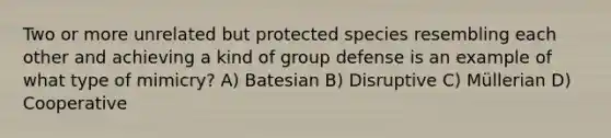 Two or more unrelated but protected species resembling each other and achieving a kind of group defense is an example of what type of mimicry? A) Batesian B) Disruptive C) Müllerian D) Cooperative