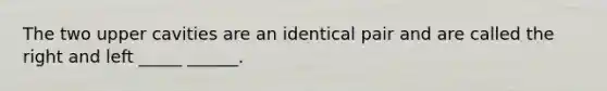 The two upper cavities are an identical pair and are called the right and left _____ ______.