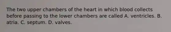 The two upper chambers of the heart in which blood collects before passing to the lower chambers are called A. ventricles. B. atria. C. septum. D. valves.